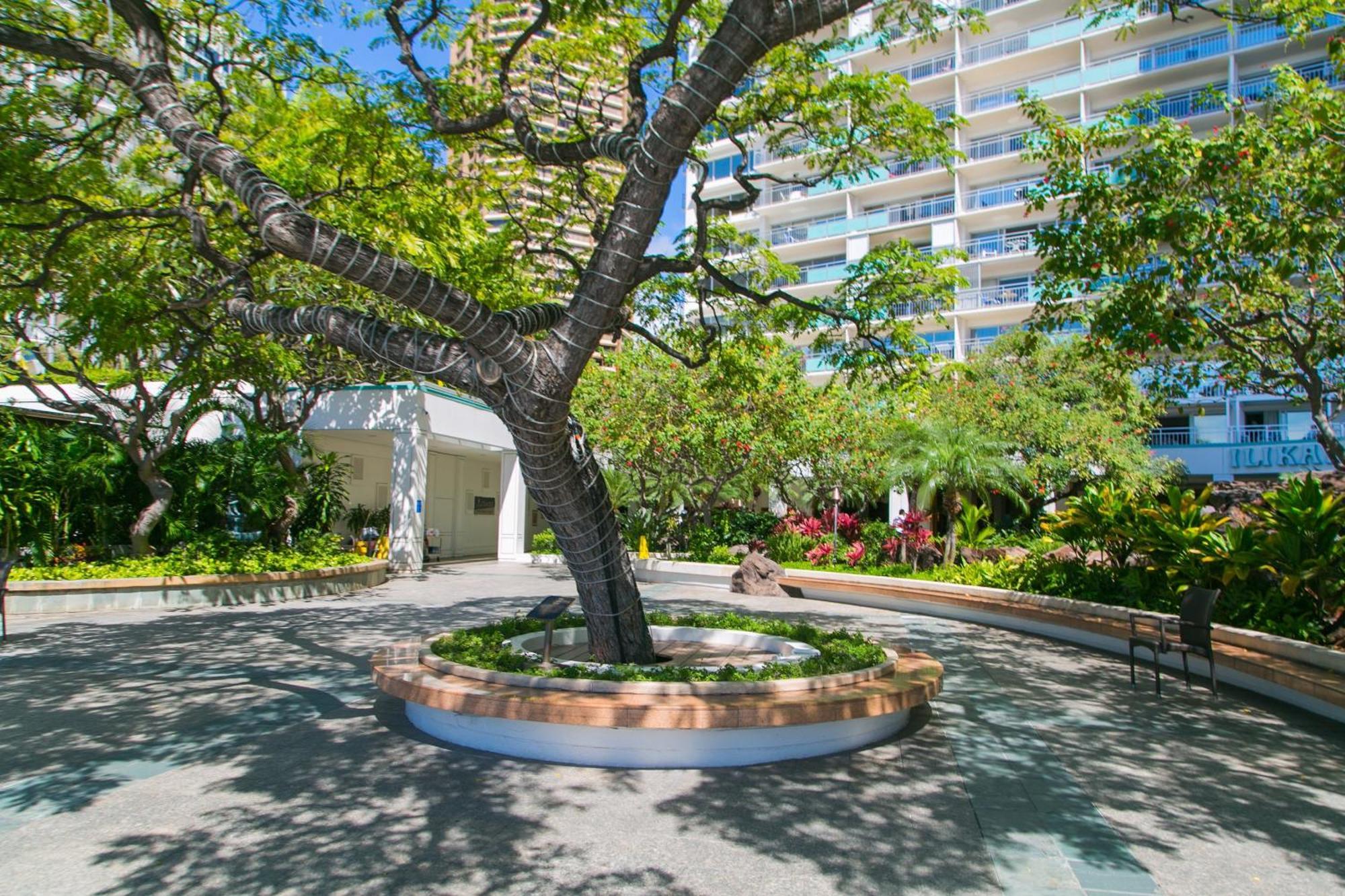Апартаменты Ilikai Tower 931 Yacht Harbor View 1Br Гонолулу Экстерьер фото